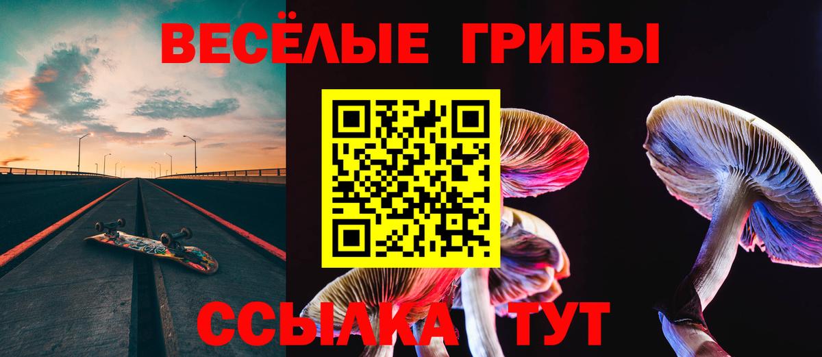 Галлюциногенные грибы Magic Shrooms  Вход с VPN  Псилоцибиновые грибы Psilocybine cubensis  Якутск 
